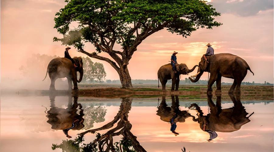 Thailand verlängert Visumfreiheit für Indien: 60 Tage Reisen