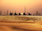 Mann und Kamele in einer Karawane mit Touristen auf Sanddünen in der arabischen Wüste