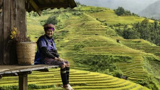 Mu Cang Chai in crop season