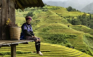 Mu Cang Chai in crop season